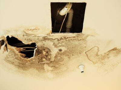 Professional water damage restoration services in San Diego - SurgeSnap Team